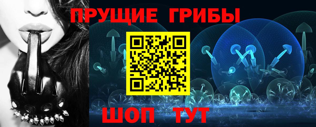 Свободный  Галлюциногенные грибы мицелий  как найти наркотики  Галлюциногенные грибы прущие грибы  Вход с VPN 