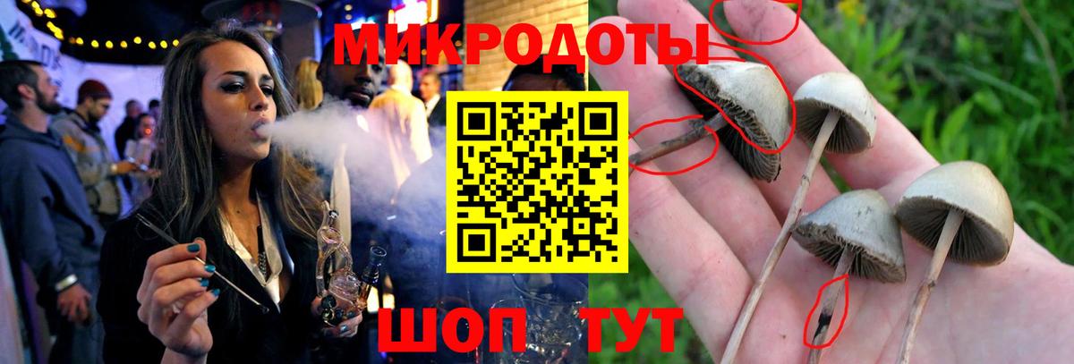 Псилоцибиновые грибы мухоморы Свободный